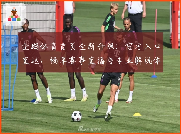 企鹅体育首页全新升级：官方入口直达，畅享赛事直播与专业解说体验