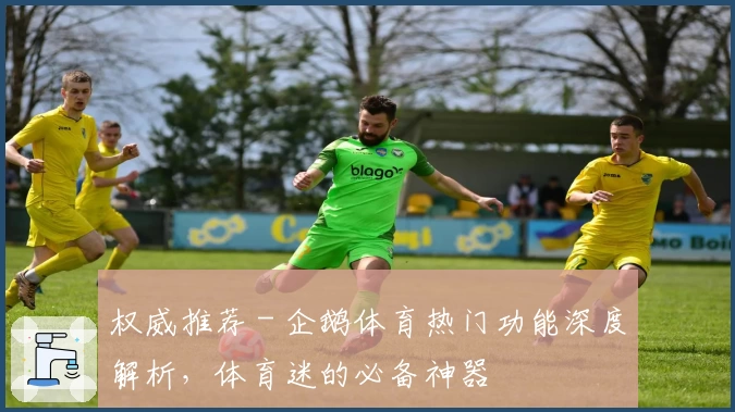 权威推荐 - 企鹅体育热门功能深度解析，体育迷的必备神器