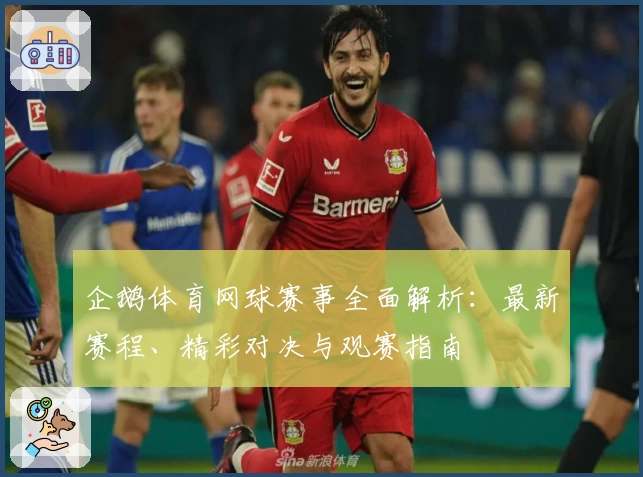 企鹅体育网球赛事全面解析：最新赛程、精彩对决与观赛指南