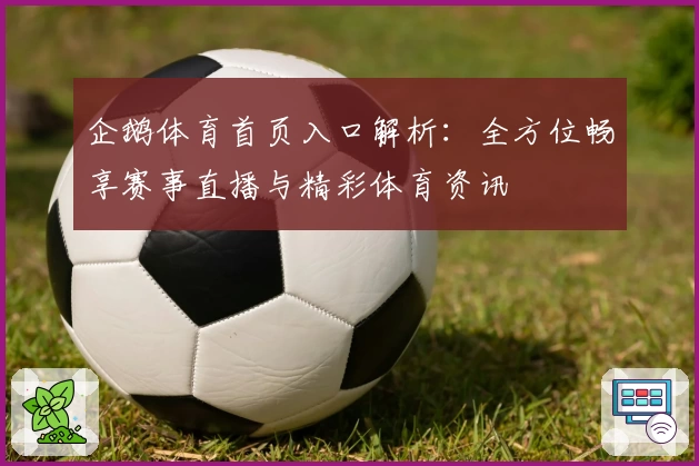 企鹅体育首页入口解析：全方位畅享赛事直播与精彩体育资讯